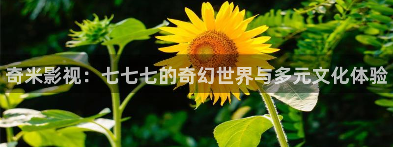 日韩第一浮力影院：奇米影视：七七七的奇幻世界与多元文化体验