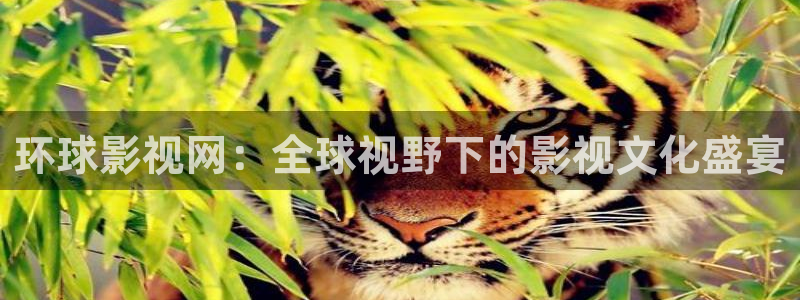 国产一三浮力影院：环球影视网：全球视野下的影视文化盛宴