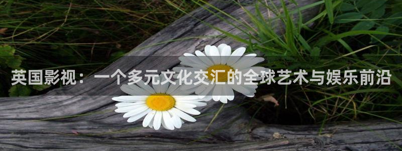 免费浮力草草影院：英国影视：一个多元文化交汇的全球艺术与娱乐前沿