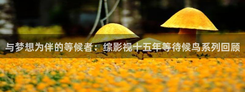 草草影院欧美浮力：与梦想为伴的等候者：综影视十五年等待候鸟系列回顾