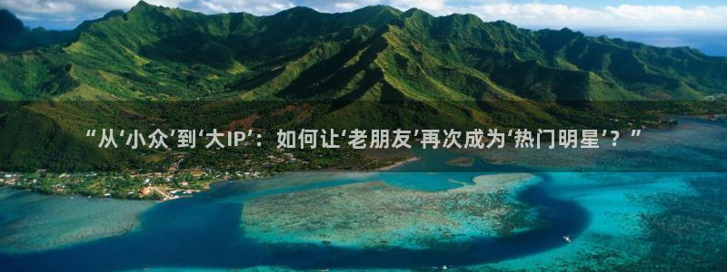 美国浮力影院：“从‘小众’到‘大IP’：如何让‘老朋友’再次成为‘热门明星’？”