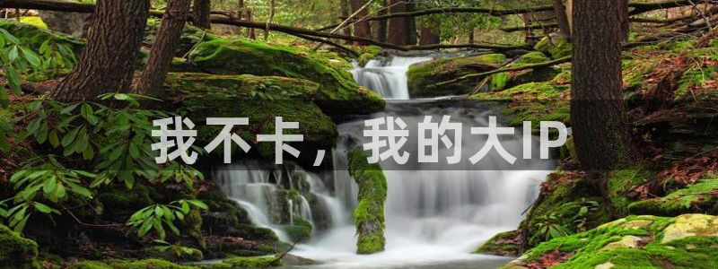浮力永久影院：我不卡，我的大IP