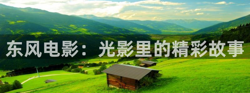 浮力影院1：东风电影：光影里的精彩故事
