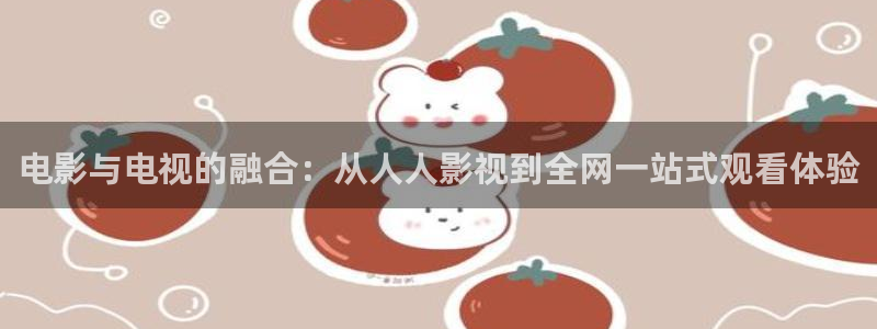 浮力影院6：电影与电视的融合：从人人影视到全网一站式观看体验
